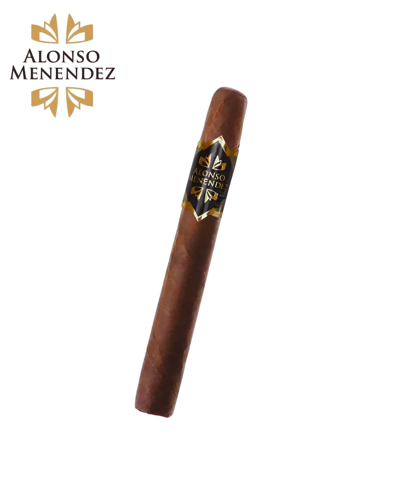 ALONSO MENENDEZ CORONA MASTER - UNIDADE